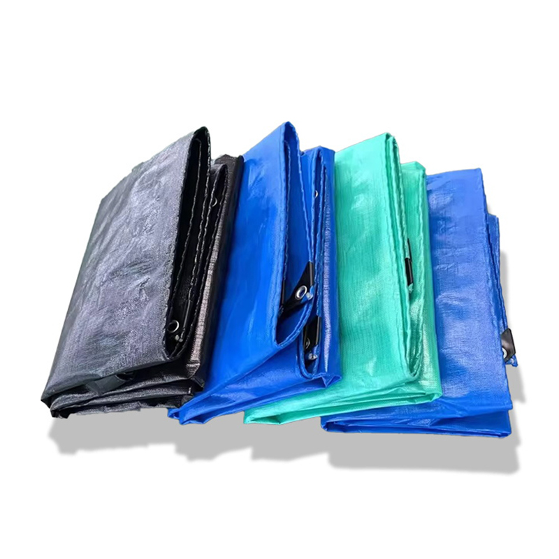 Tarpaulin Frost Resistant PE Tarpaulin